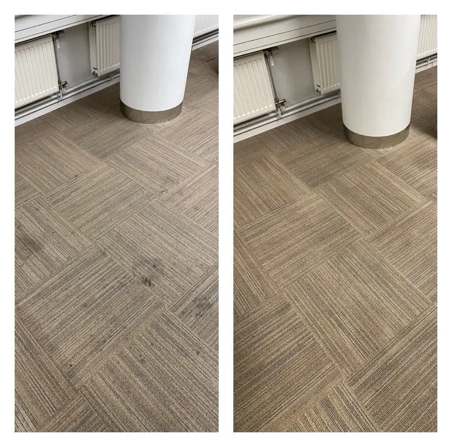 Tvätta Heltäckningsmatta